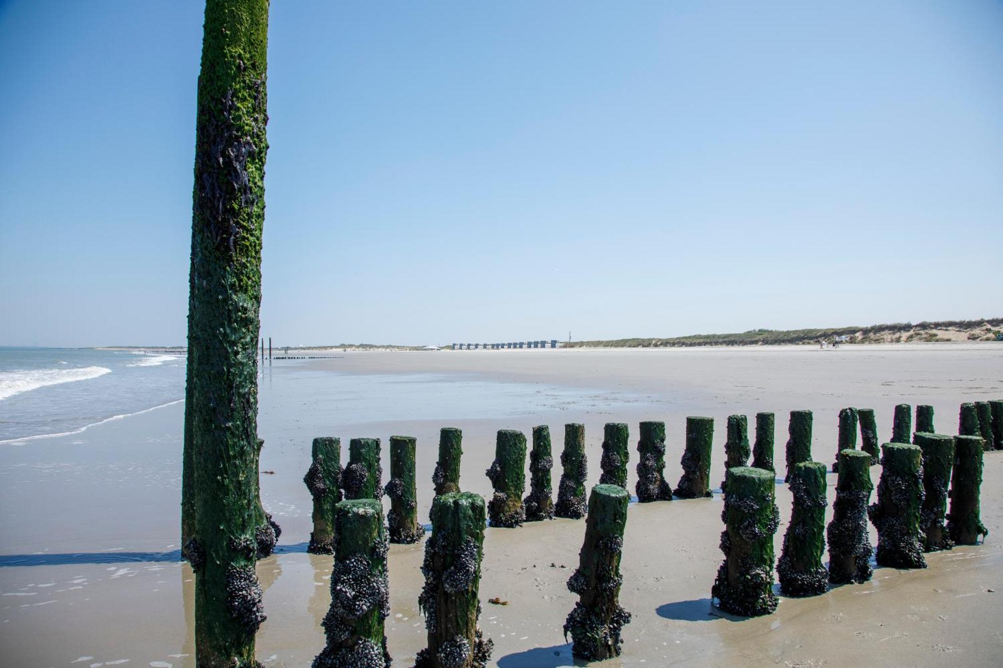 Zonneweelde, Vakantie Aan Zee 尼乌弗利特 外观 照片